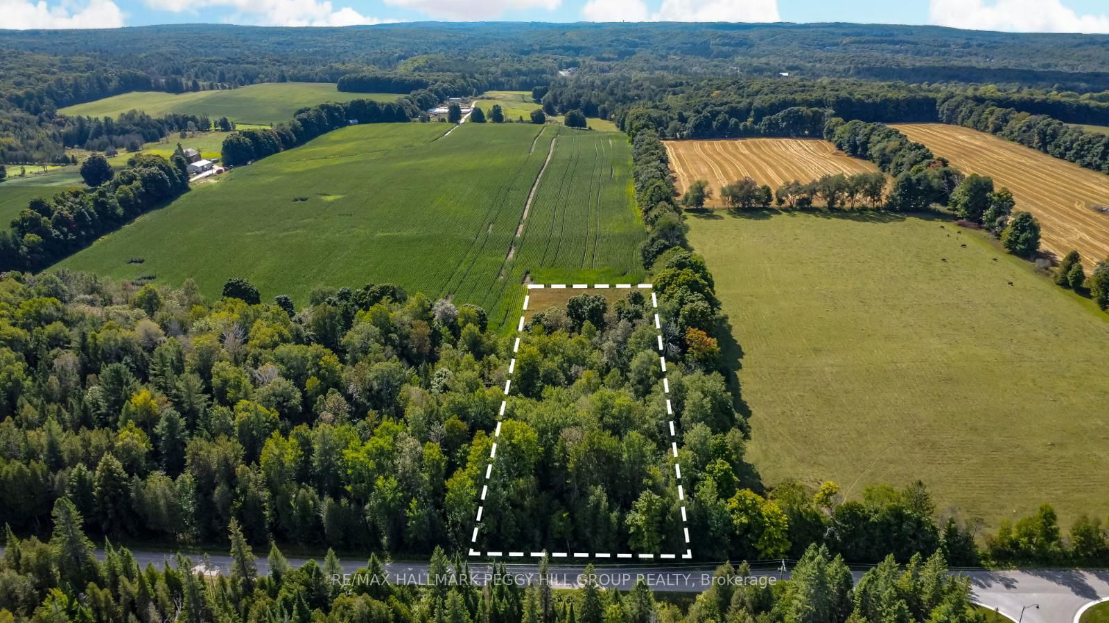 Vacant Land for sale at 2960 Line 8, Oro-Medonte, Rural Oro-Medonte, L0K 1N0 - MLS: S11991053