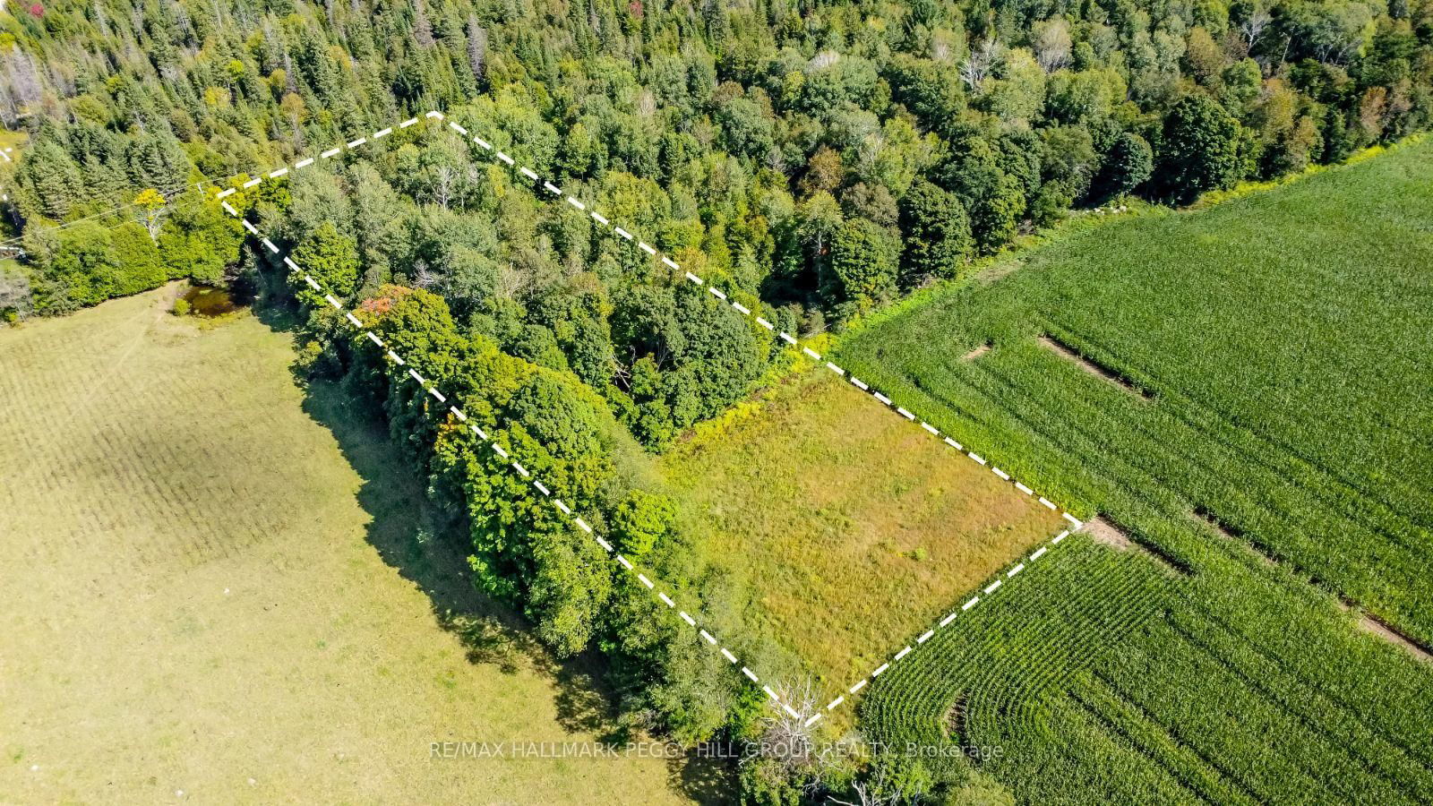 Vacant Land for sale at 2960 Line 8, Oro-Medonte, Rural Oro-Medonte, L0K 1N0 - MLS: S11991053