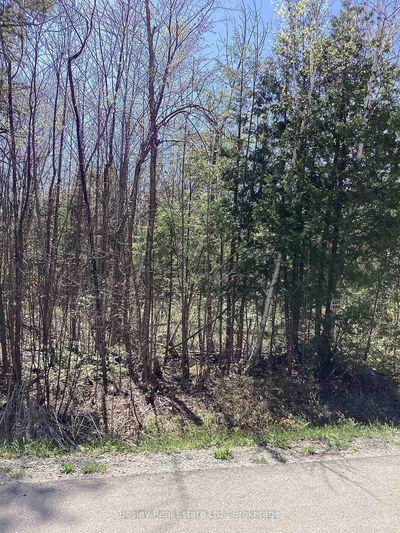 Lot 184 Champlain Rd, Tiny - Rural Tiny image-0-1