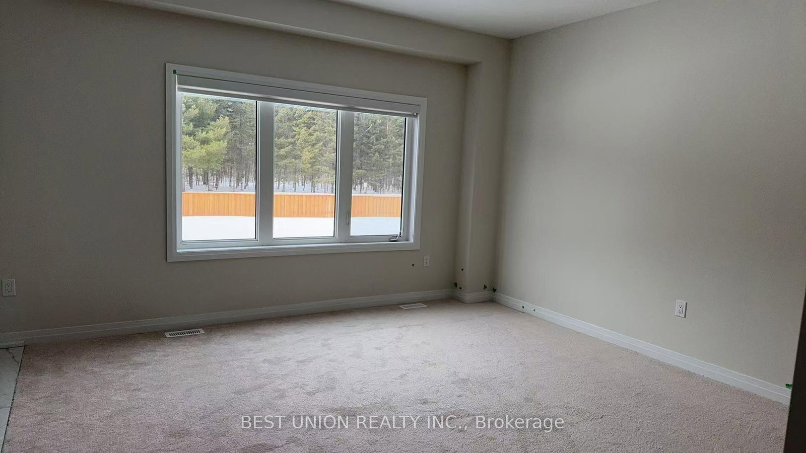 3044 Sandy Acres Avenue - Photo 3