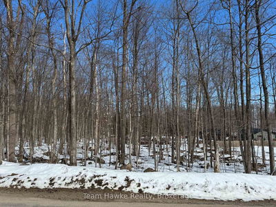 85 Polish Ave, Penetanguishene - Penetanguishene image-0-2