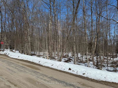85 Polish Ave, Penetanguishene - Penetanguishene image-0-3