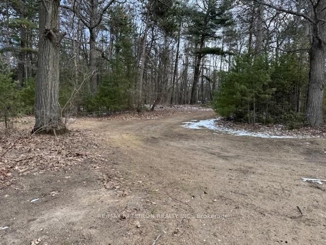 8 Poplar St, Wasaga Beach, L9Z 2X5 | Image 2