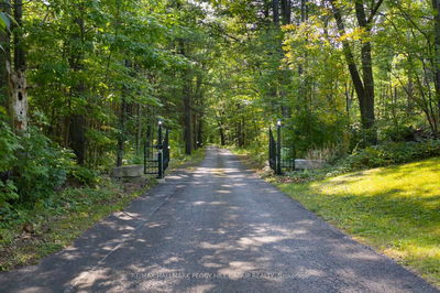 308 Miller Dr, Springwater - Rural Springwater image-0-2