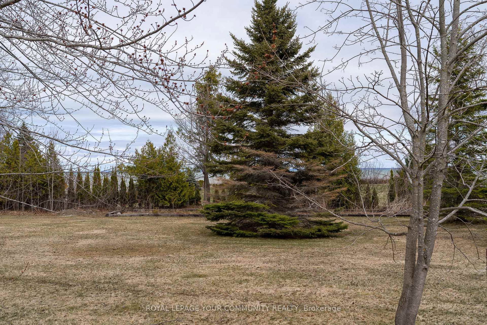 Listing Image 8