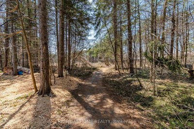 6 Fairway Crt, Oro-Medonte - Horseshoe Valley image-0-4
