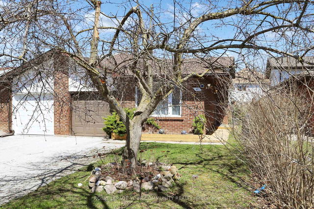 41 Maplehurst Crescent