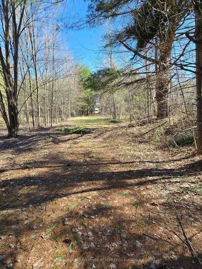 1205 Fair Grounds Rd, Ramara - Rural Ramara image-0-4