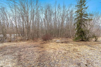 4076 Airport Rd, Ramara - Rural Ramara image-0-4