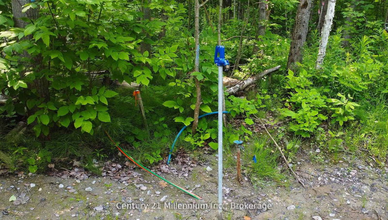 Lot 52 Tiny Beaches Rd N, Tiny, L9M 0H8 | Image 3