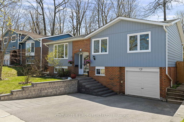117 SPRINGDALE Drive