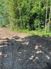 3365 Armand Ave, Severn - Washago
