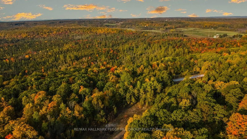 LT23&24 CON 8, Oro-Medonte - Rural Oro-Medonte image-0-0