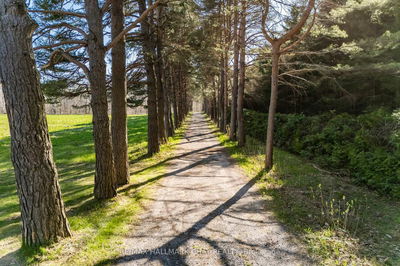 2407 3 Line, Oro-Medonte - Rural Oro-Medonte image-0-2