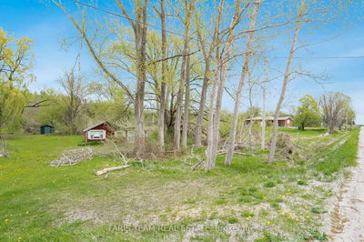 7665 Highway 93, Tiny - Rural Tiny image-0-2