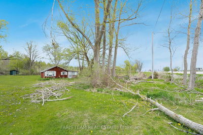 7665 Highway 93, Tiny - Rural Tiny image-0-3