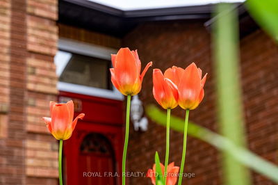 26 Timberland Cres, Wasaga Beach - Wasaga Beach image-0-4