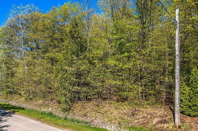 Lot 61 Rue Camille Rd, Tiny - Rural Tiny image-0-2