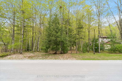 97 Tall Pines Dr, Tiny - Rural Tiny image-0-1
