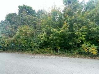 17 Valleyview Dr, Oro-Medonte - Moonstone image-0-1