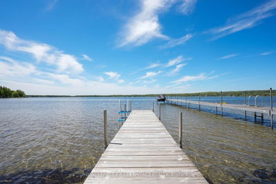 8 Buttercup Lane, Springwater - Rural Springwater image-0-1