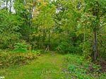 7 MOORE Ave, Tay - Rural Tay image-0-2