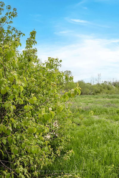 1499 Tay Point Rd, Penetanguishene - Penetanguishene image-0-4