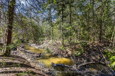LOT 4 Karola Rd, Tiny - Rural Tiny image-0-3