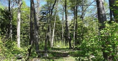 126 Nippissing Ridge Rd, Tiny - Rural Tiny image-0-1