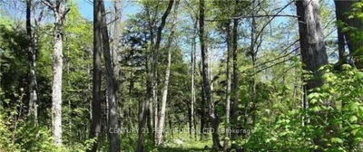 118 Nippissing Ridge Rd, Tiny - Rural Tiny image-0-1