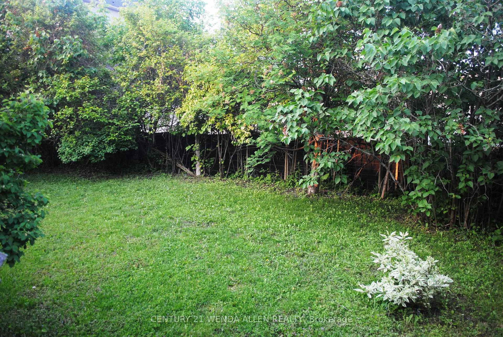 Listing Image 32