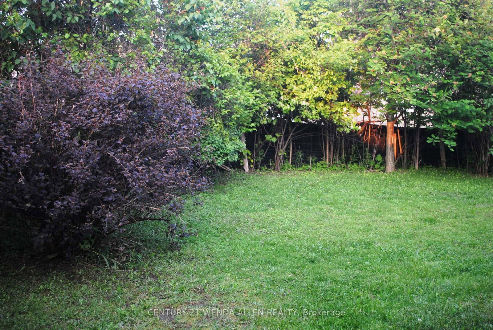 Listing Image 33