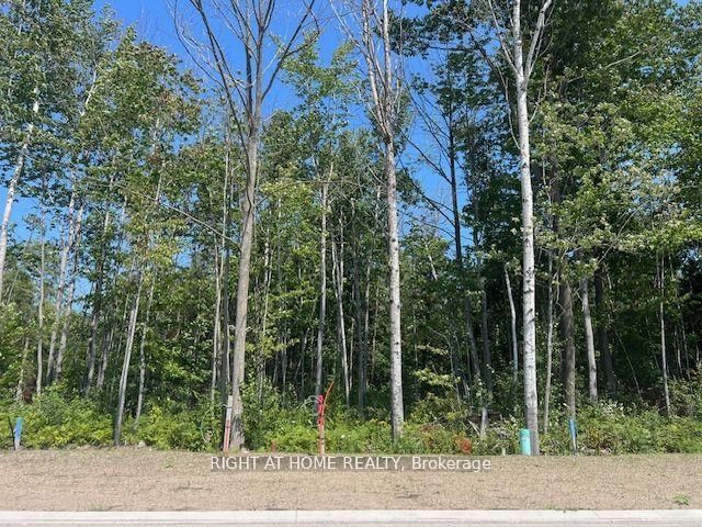 Lot 77 Mapleside Dr, Wasaga Beach - Wasaga Beach image-0-0