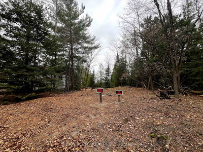 1554 Shore Lane, Wasaga Beach - Wasaga Beach image-0-2