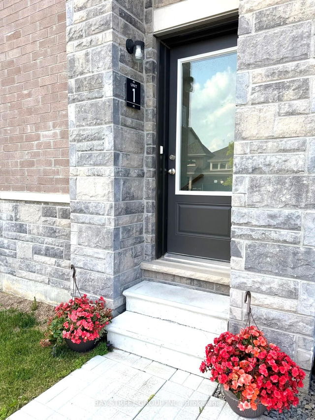 Basement - 163 Terry Fox Drive Road