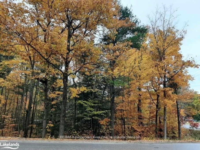 Lot 354 Desroches Trail NW, Tiny, L9M 0H9 | Image 2