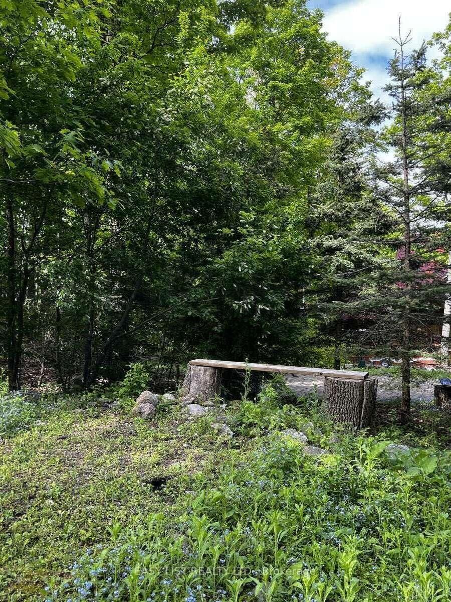 Listing Image 25