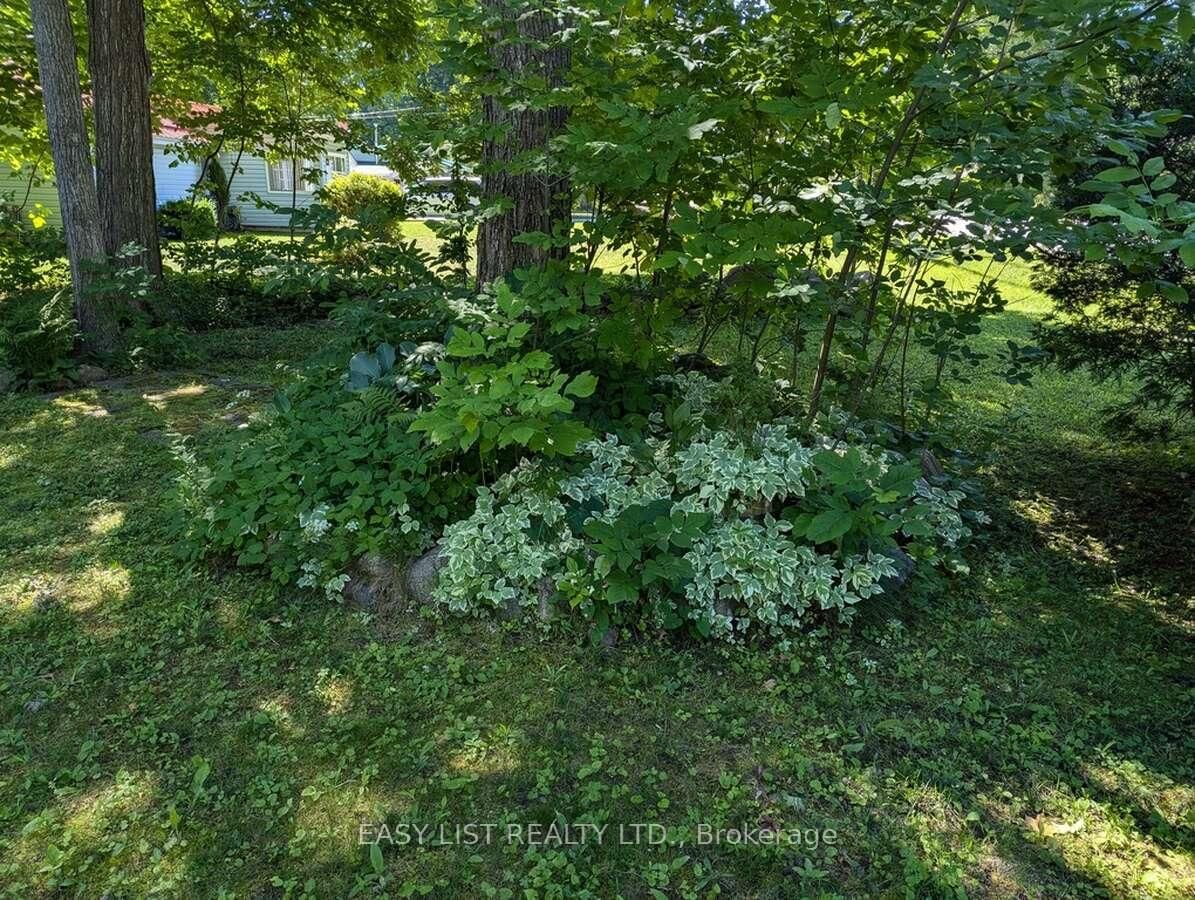Listing Image 29