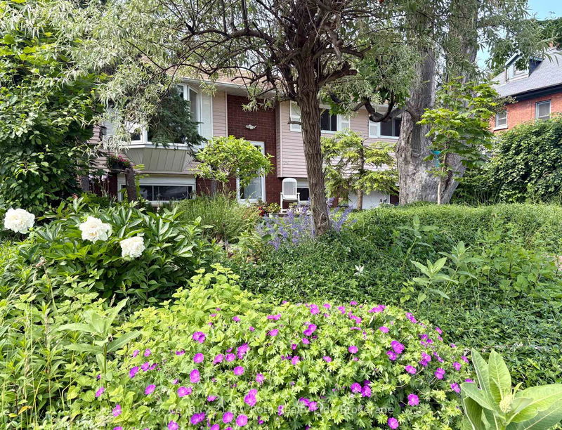 24 Champlain St, Orillia - Orillia image-0-0