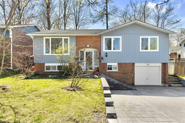 117 SPRINGDALE Drive
