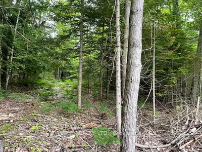 73 Lesperance Rd, Tiny - Rural Tiny image-0-3