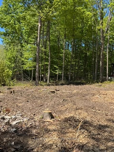 Lot 3 Fairlawn Grve, Tiny - Rural Tiny image-0-0