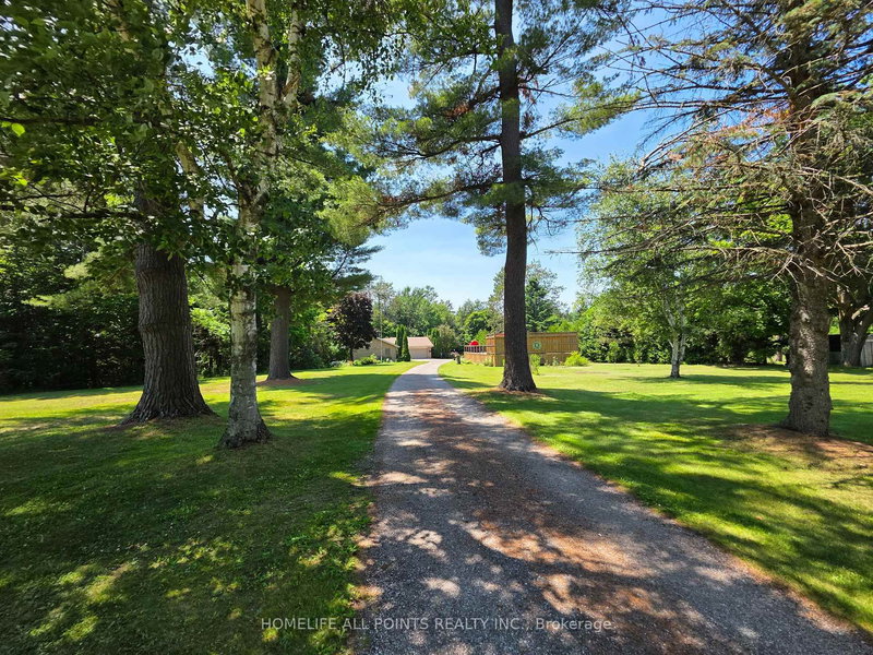 7190 93 Highway, Tiny, L0K 2E1 | Image 2