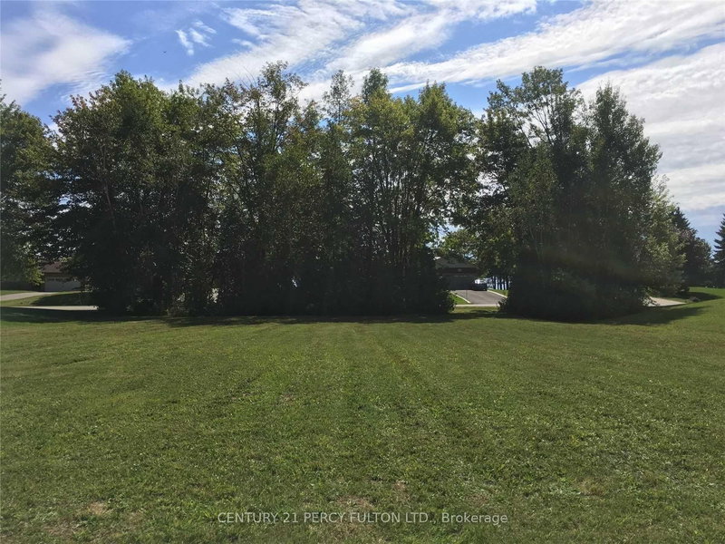 81 Bayshore Dr, Ramara, L0K 1B0 | Image 3