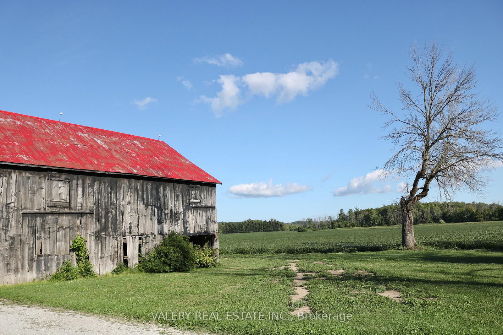 Detached House for sale at 4295 Horseshoe Valley Road, Springwater, Ontario, L9X 1G1 - Rural Springwater - MLS: S12360403