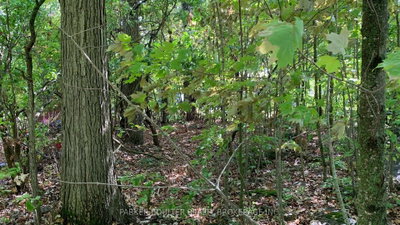 6569 Rama Road • Ramara, ON photo 8
