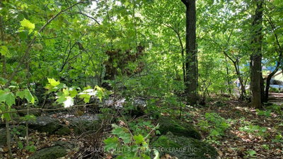 6569 Rama Road • Ramara, ON photo 9