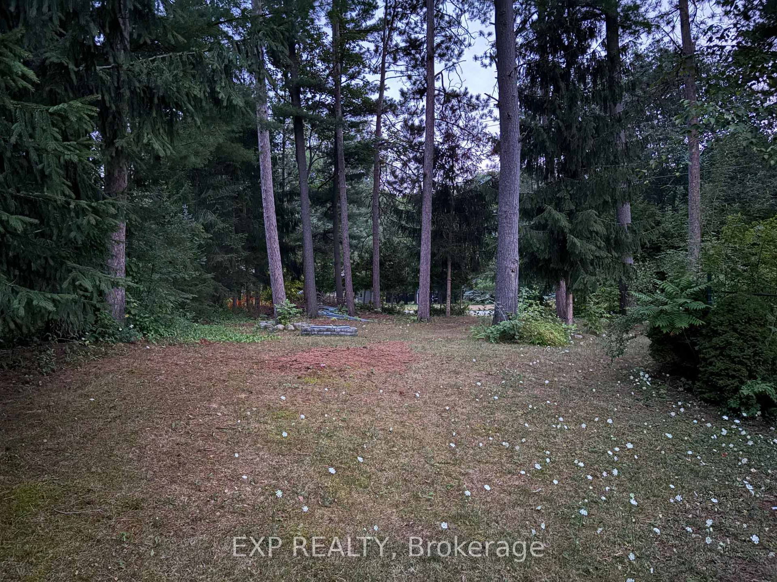 Listing Image 28