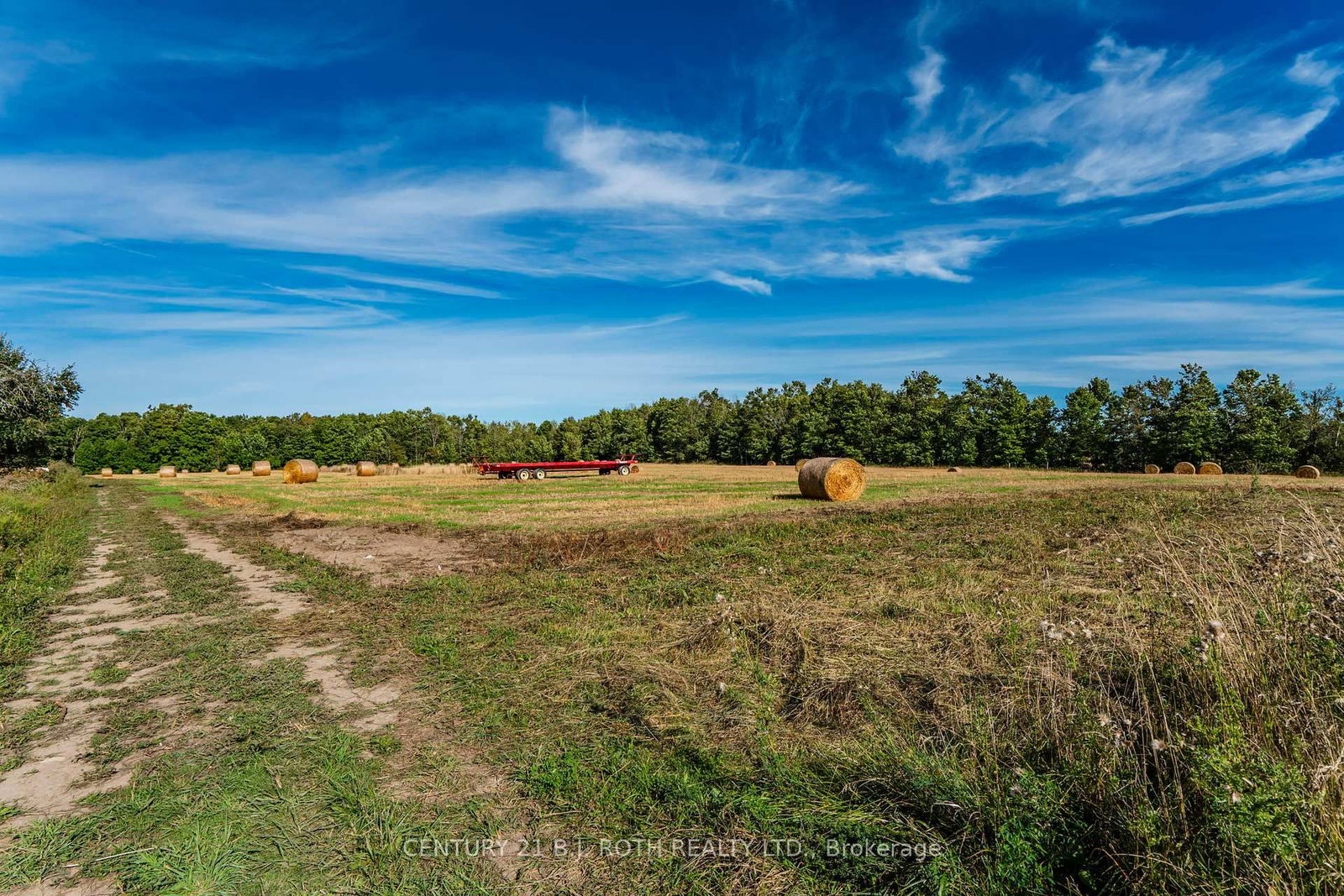 Listing Image 14