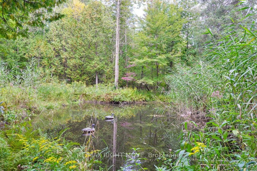 Listing Image 41
